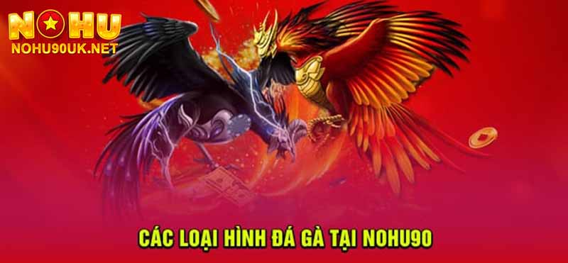 Các loại kèo phổ biến trong đá gà tại NoHu90